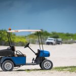 Golf Cart Motors